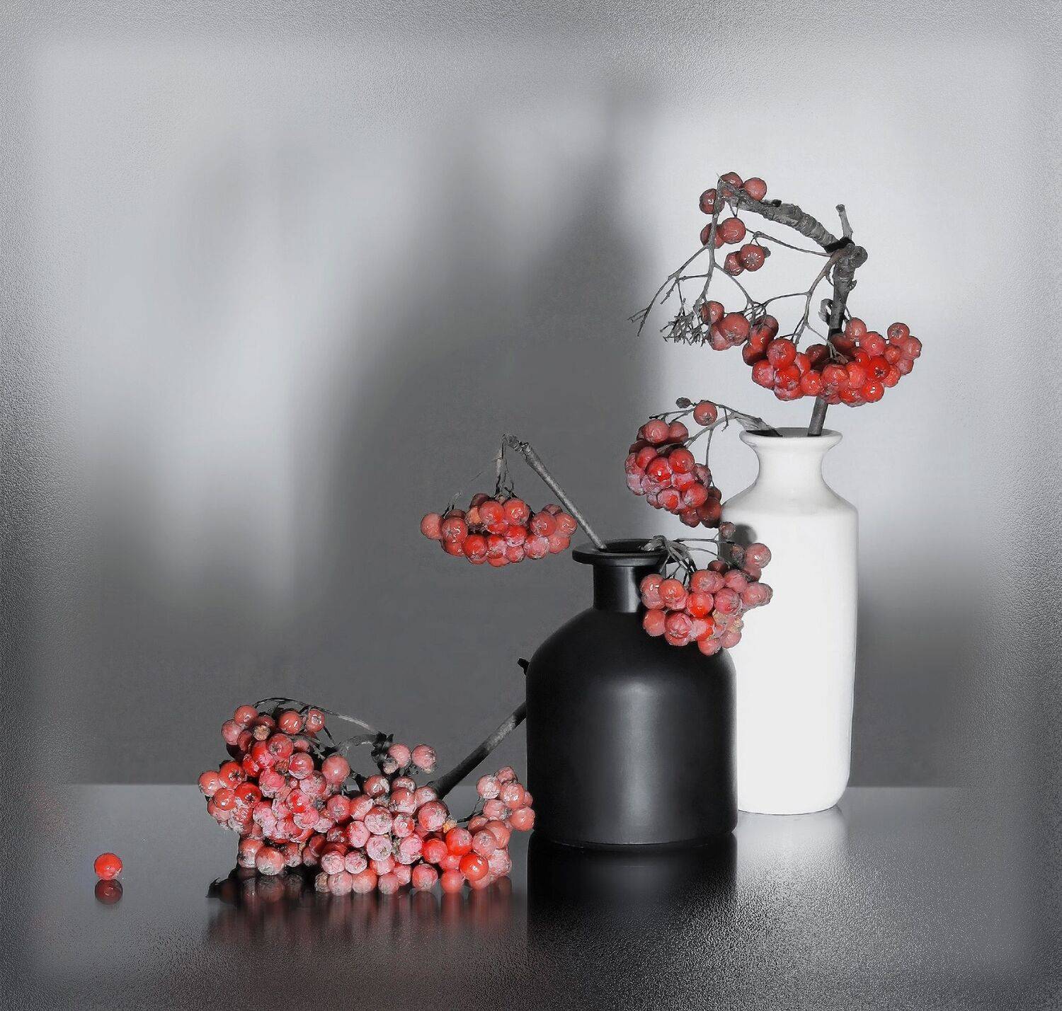 , Ольга Заболотская