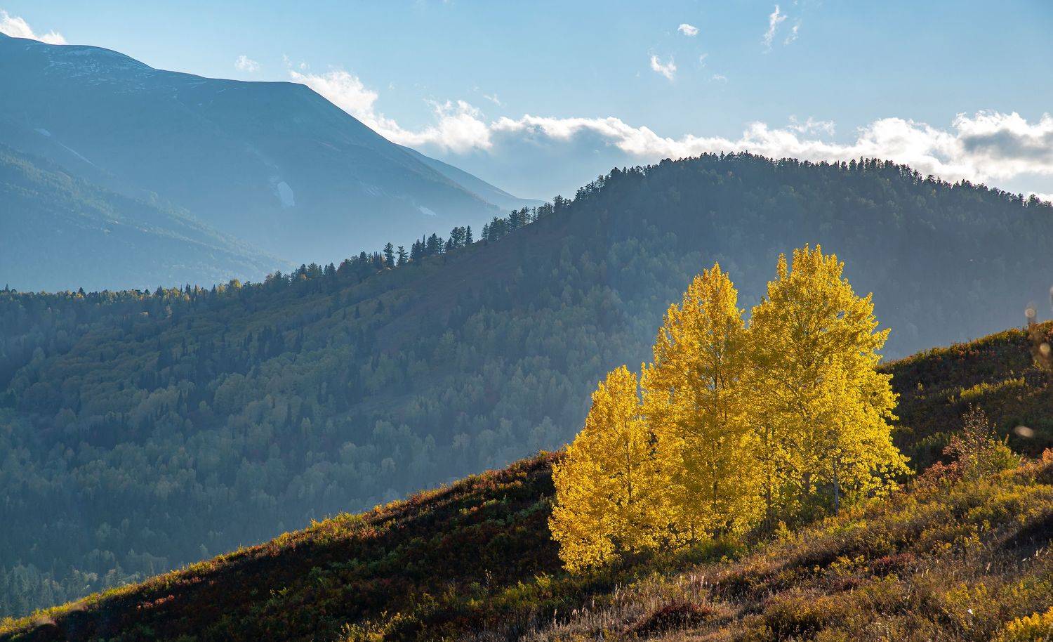 горы, Евгений Дроботенко