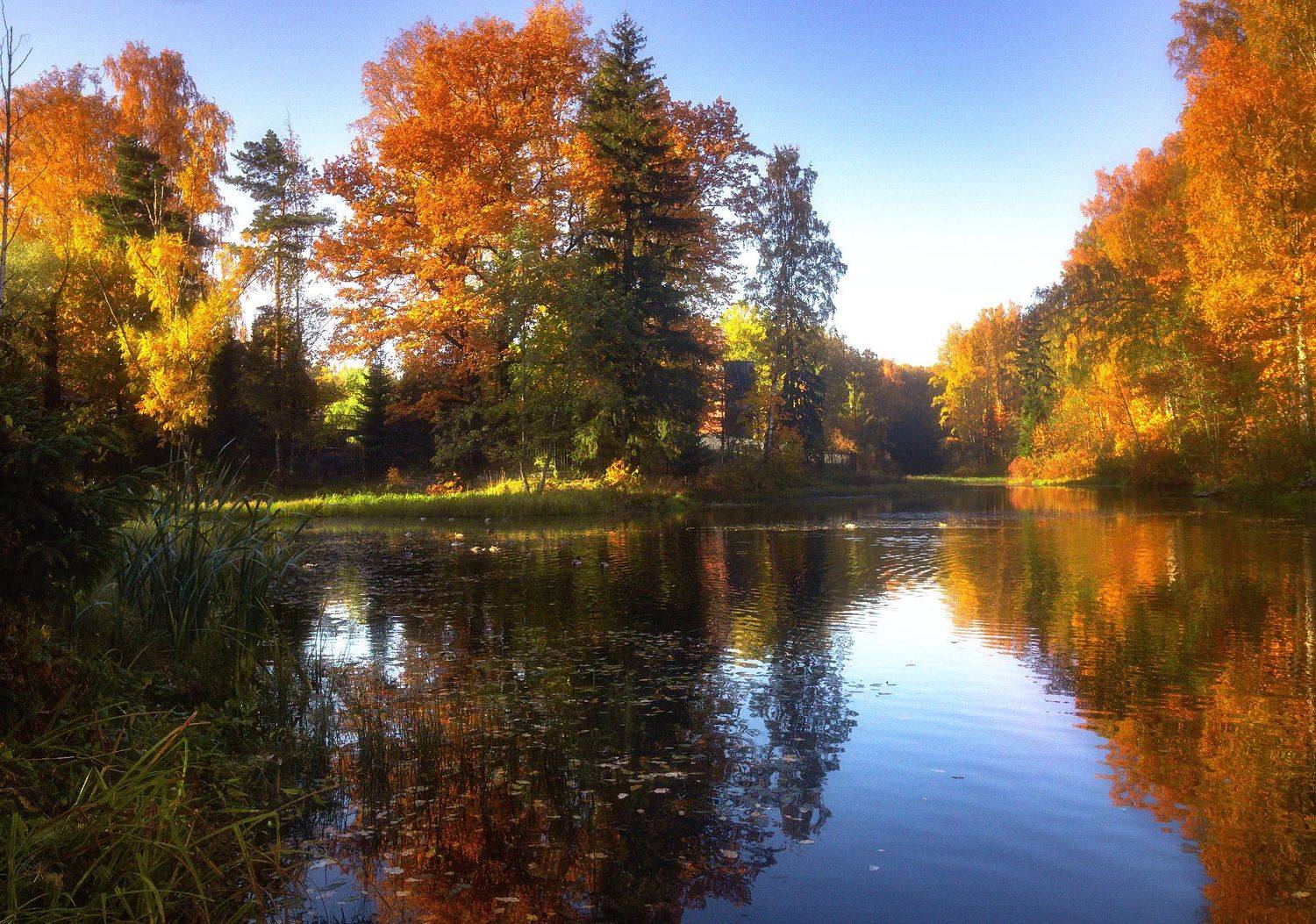 , Алексей Герасимов