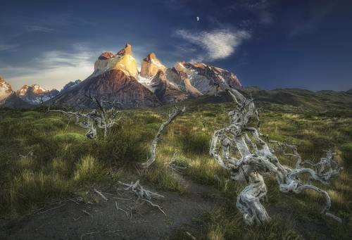 Cuernos del Paine