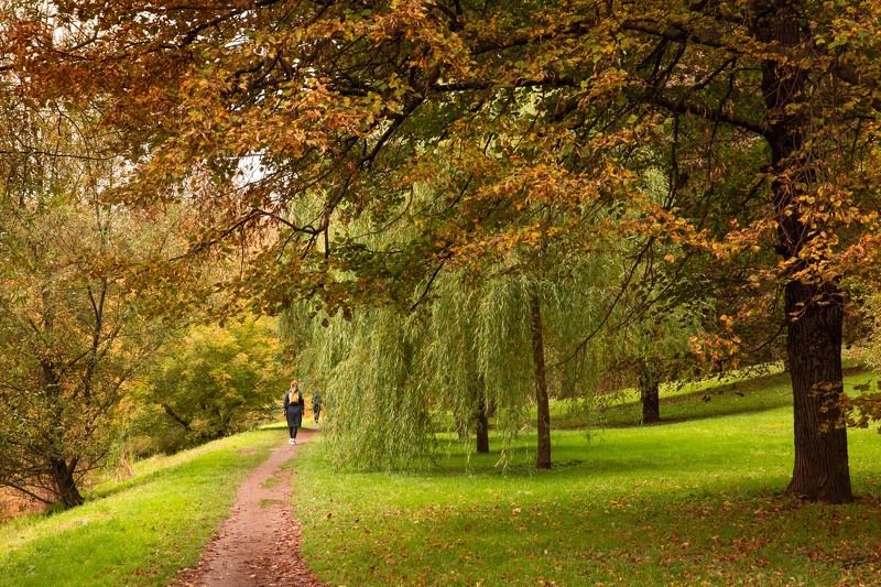 осень , измайловский остров,  осень к нам приходит  фото превью