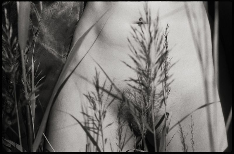 **** фото превью