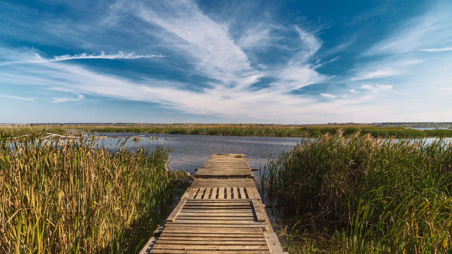 , Юрий Вертиков