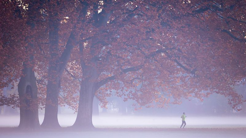 Autumn фото превью