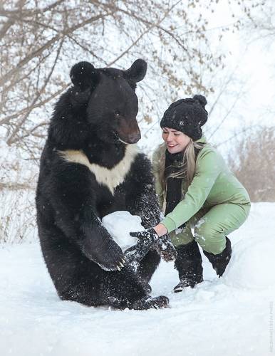 Зимние забавы