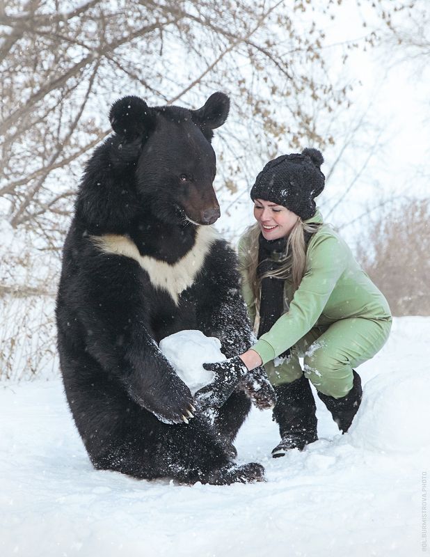 зима, снег, снеговик, зимние игры, медведь, сибирь, девушка и медведь, санки, снежки Зимние забавы фото превью