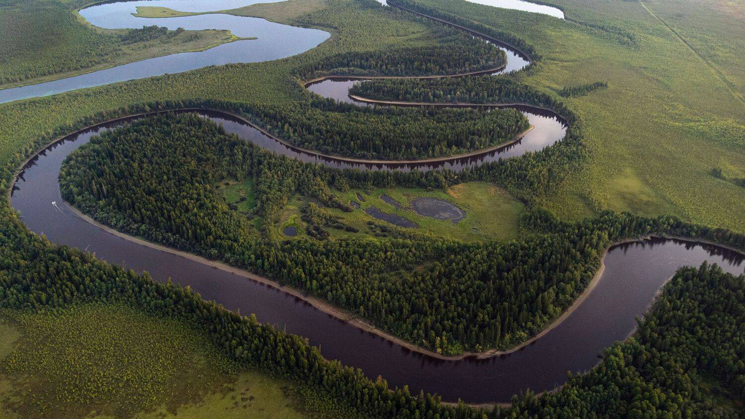 хмао, Роман Грушевский