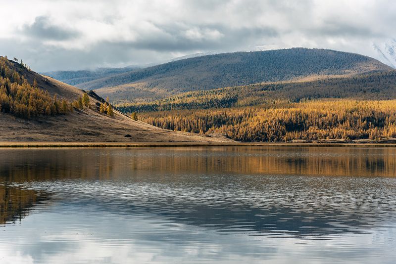 алтай, республика алтай, джангысколь, озеро, урочище ештыкель, облачность, лиственницы, осень Джангысколь, ленивые сюжеты на берегу озера фото превью