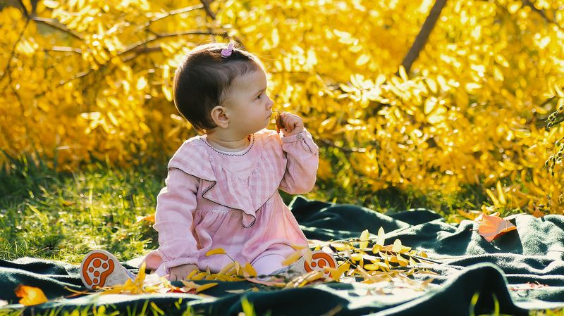 baby, girl, child, child photography, love, photography, outdoor, yellow, autumn The happy time фото превью