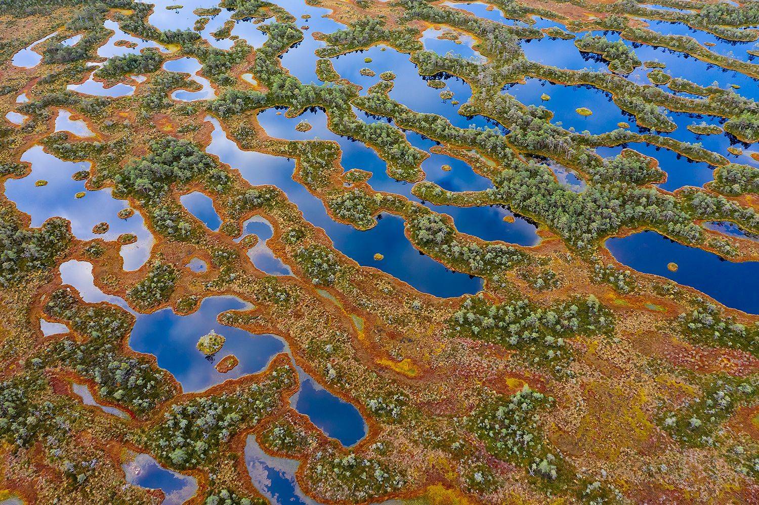 , Александр Абросимов