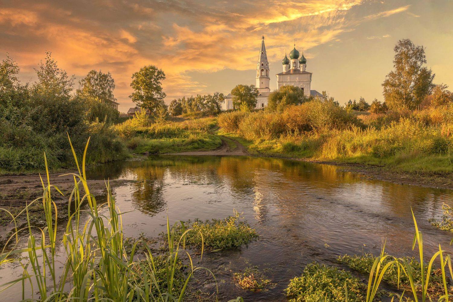 Ивановская область, Елена Гусева