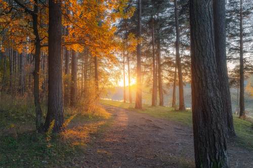 Яркое завершение дня