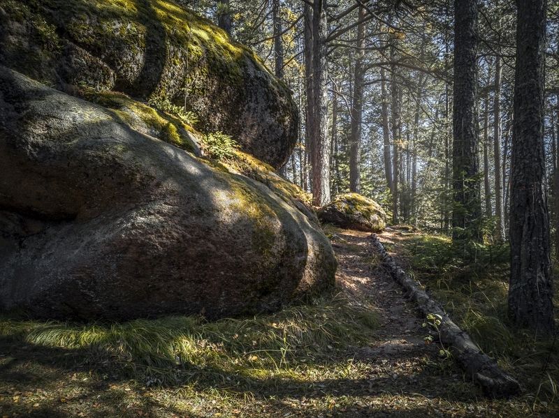 По заповедным местам фото превью