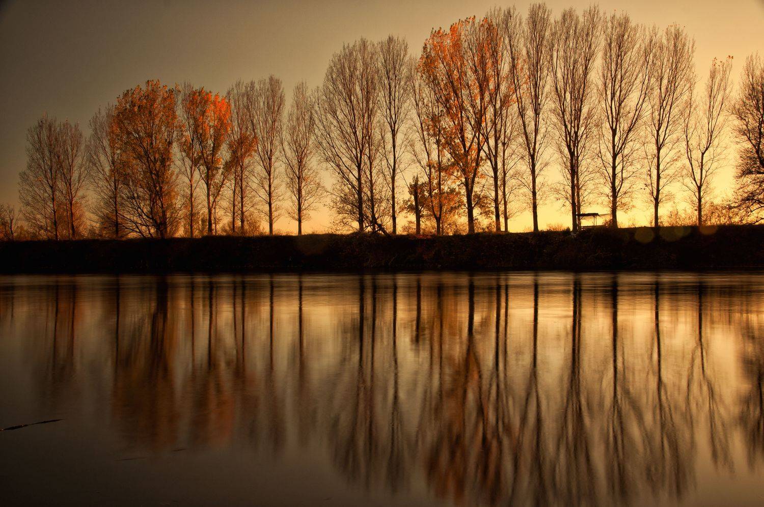 nikon d90, Tihomir Petkov