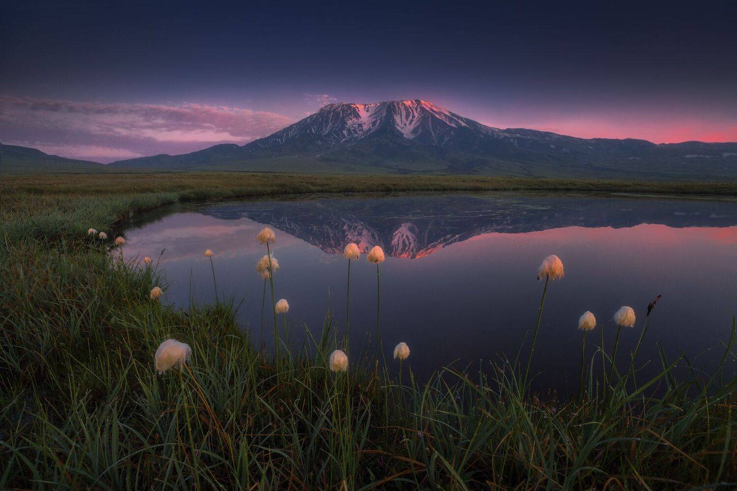 камчатка, Владимир Ляпин
