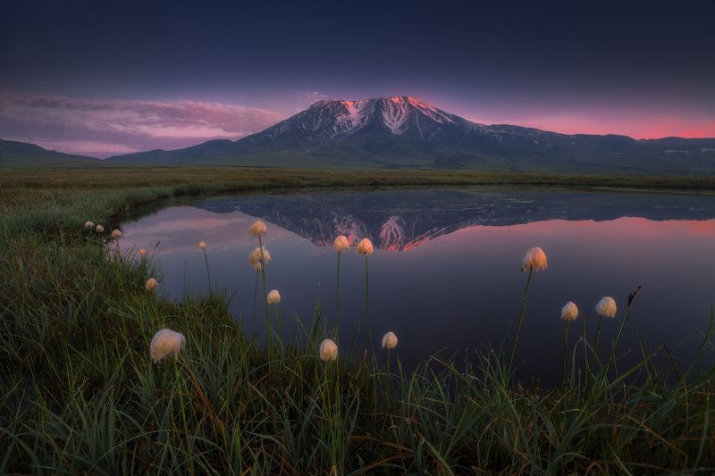 Утро у Толбачика фото превью