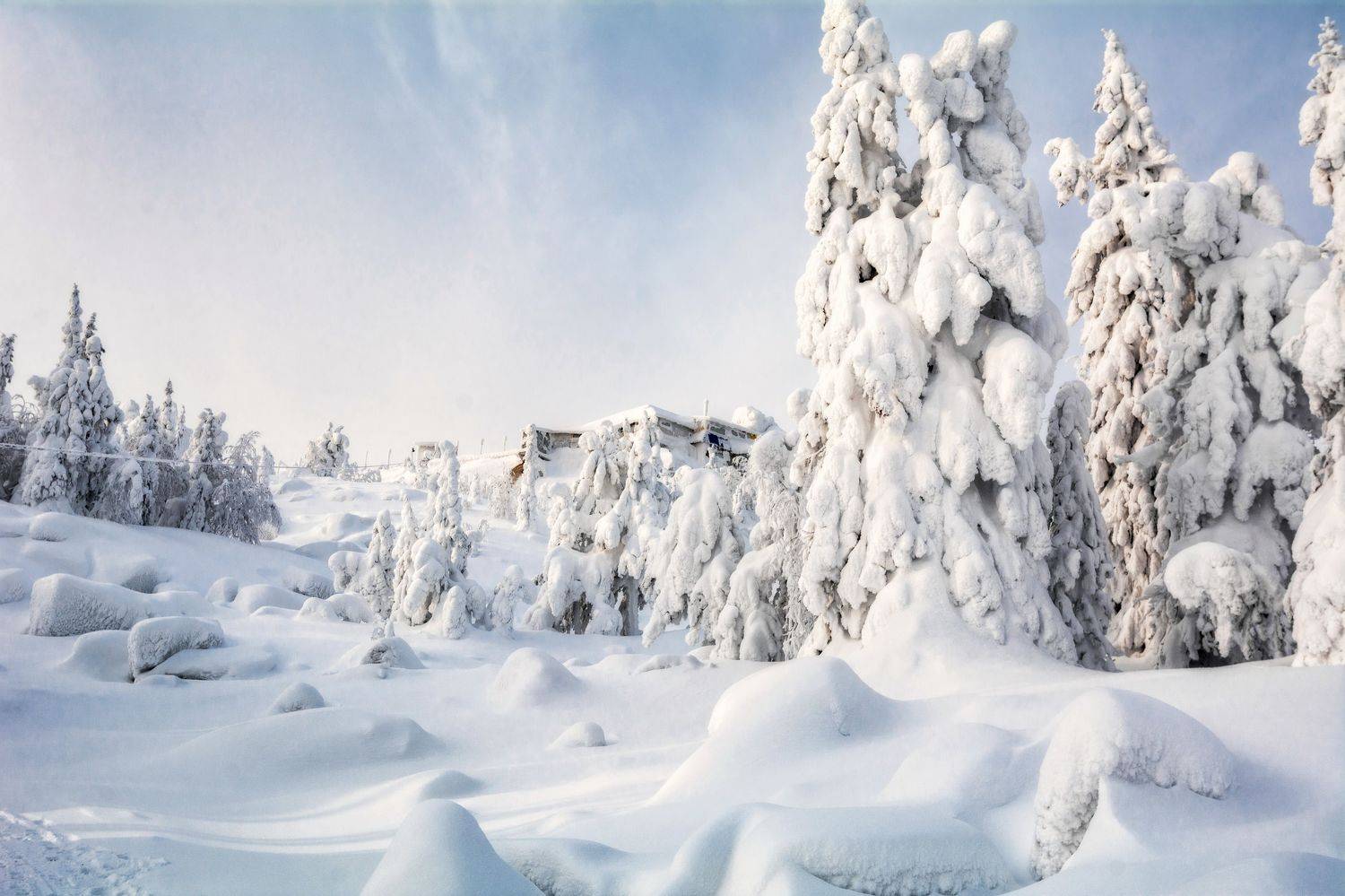 зима, зимний пейзаж, урал, качканар, зимние елки, Елена Соколова