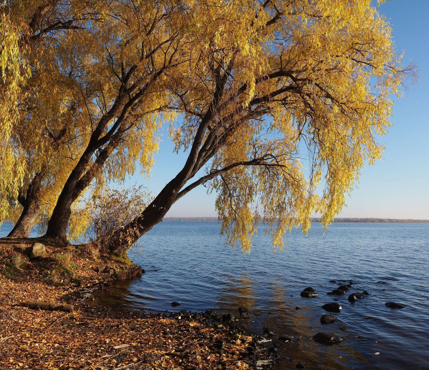 Осень, Борис Риганов