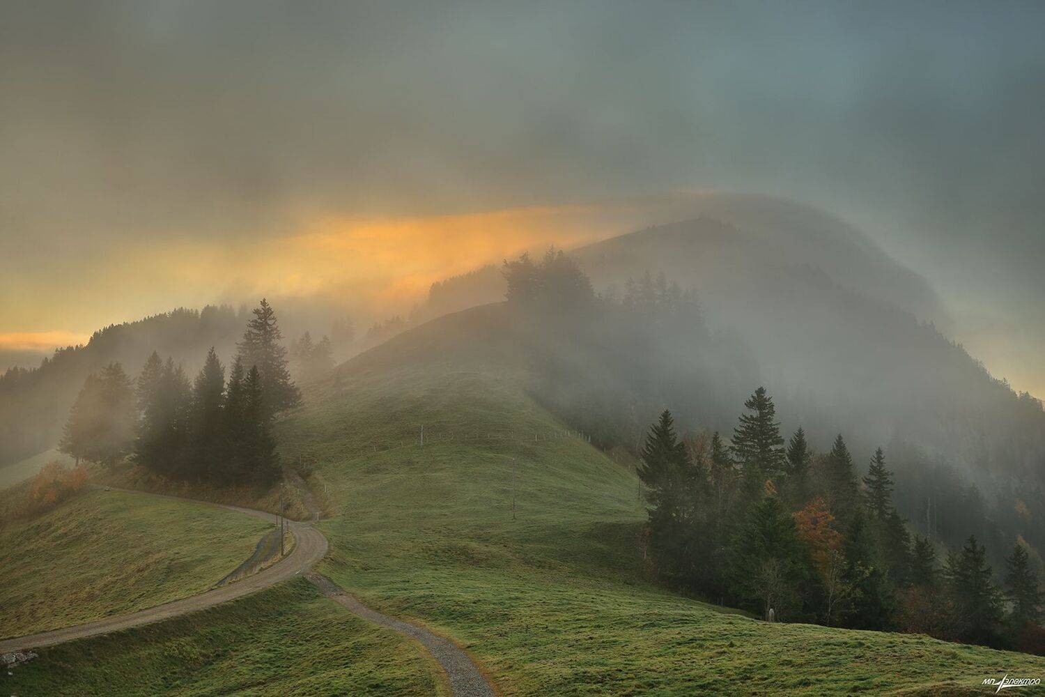 swiss, Матвеев Николай