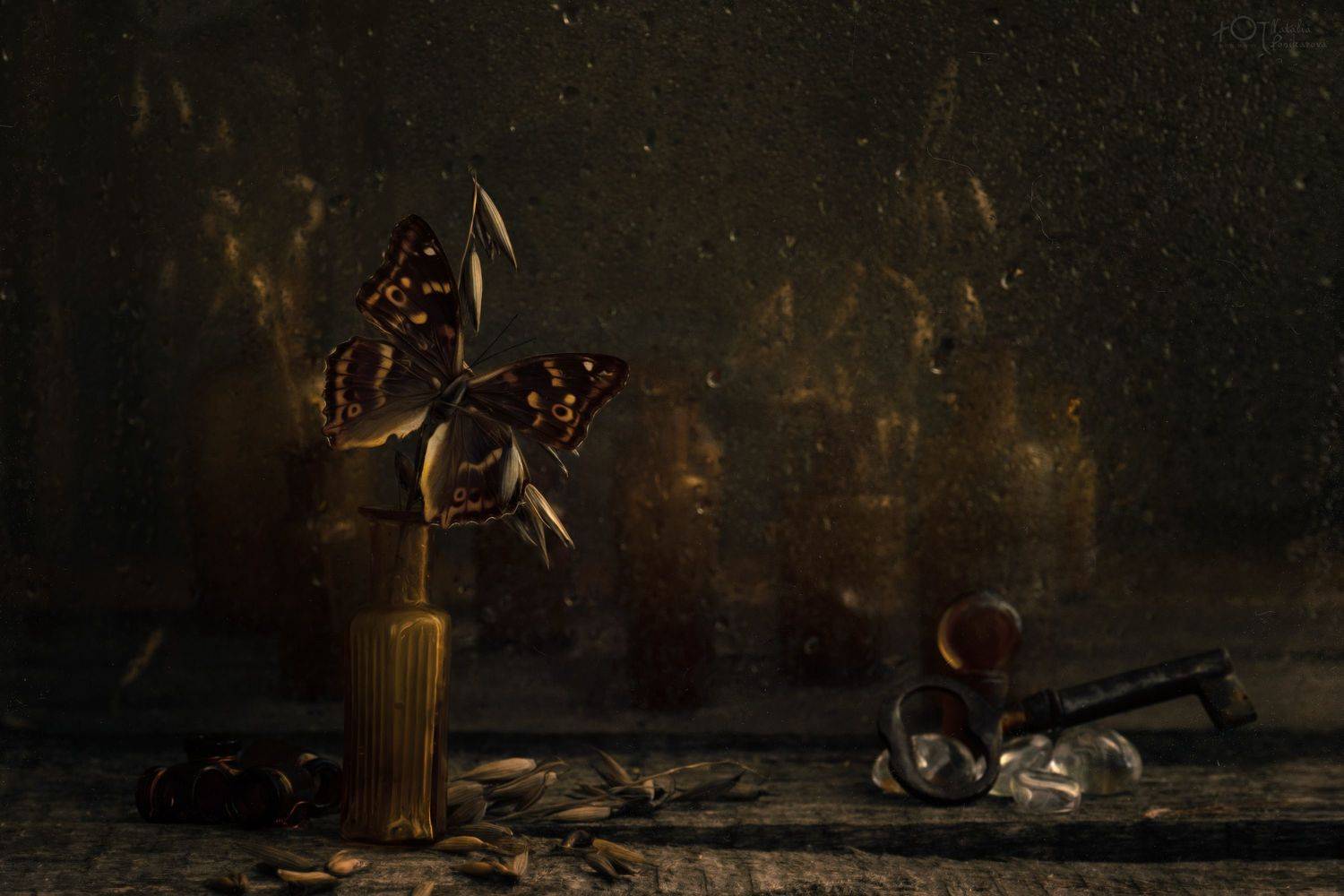 , Наталия Поникарова