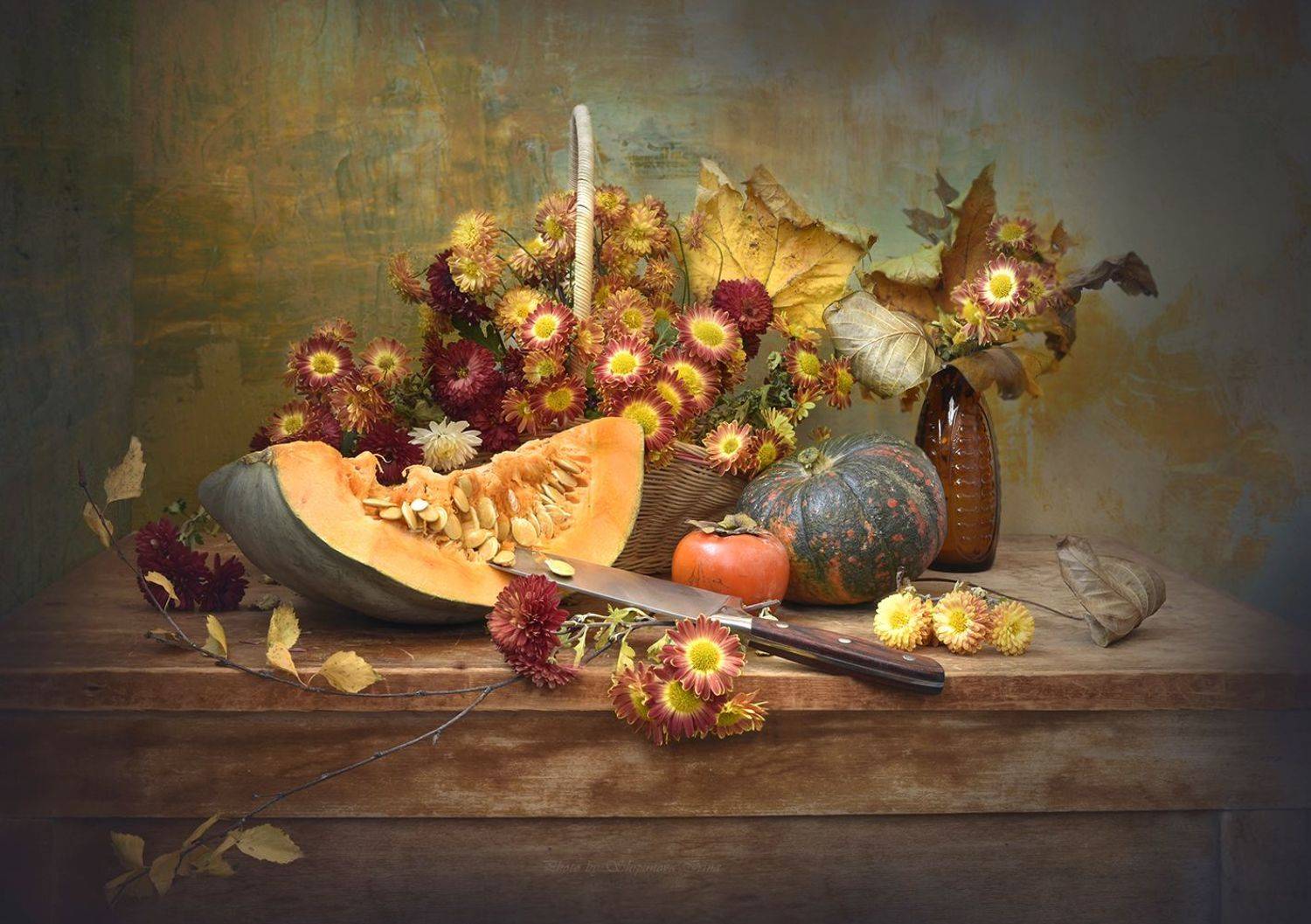 , Шипунова Ирина