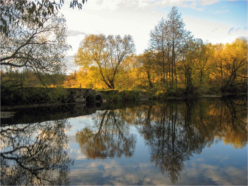 Золотой закат фото превью