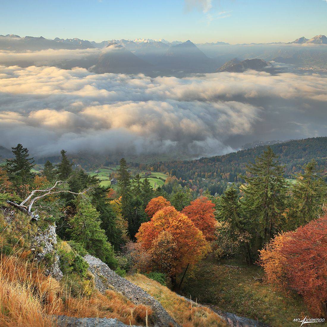 swiss, Матвеев Николай