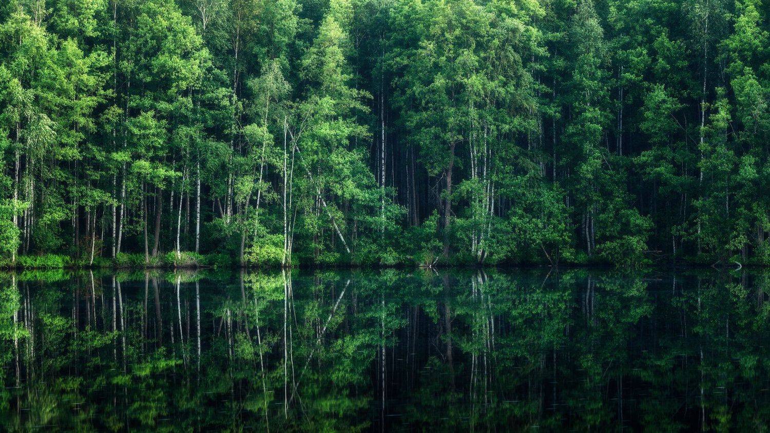 пейзаж, Сергей Сергеев