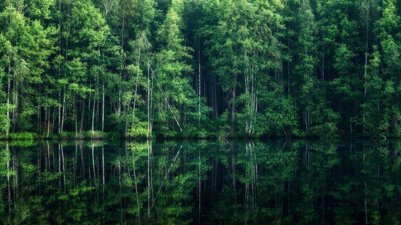 пейзаж Параллельные миры фото превью