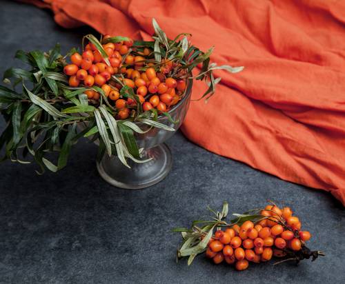 Натюрморт с облепихой