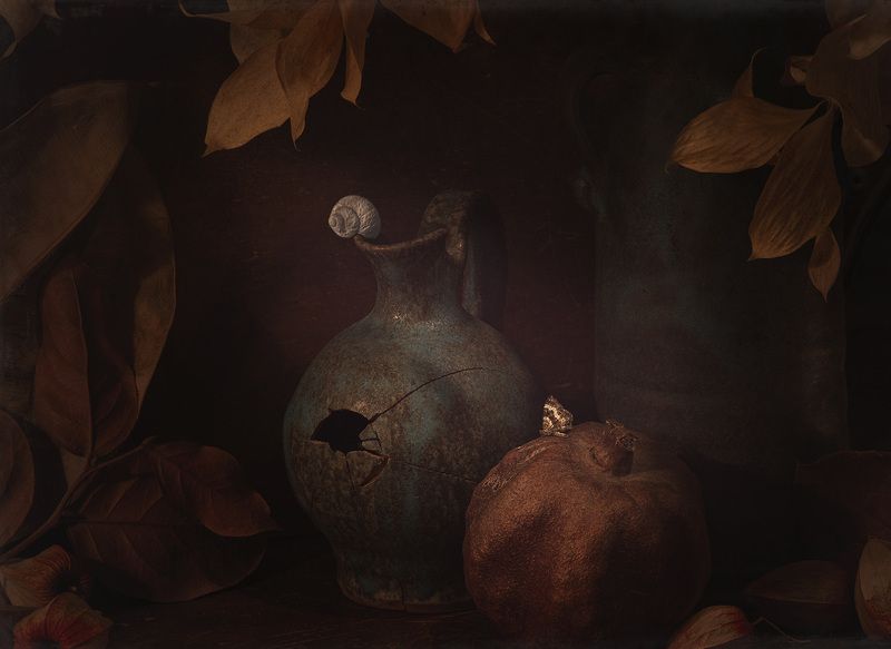 свет, натуральный, стильный, искусственный свет, теплый свет, глинянный кувшин с трещинкой, листья, сухие листья, гранат, темный, кувшин, натюрморт, фон, трещина, сумерки, мистический, керамика, оболочка, древесина, древесина , винтаж, художественное, изо Натюрморт с треснувшим кувшином и мотыльком фото превью