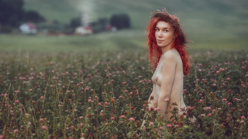 Клеверное поле фото превью