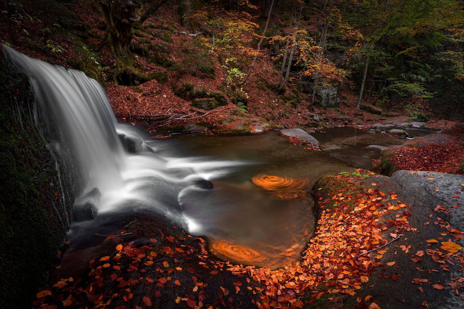 , Atanasova - Lucero Mariyana