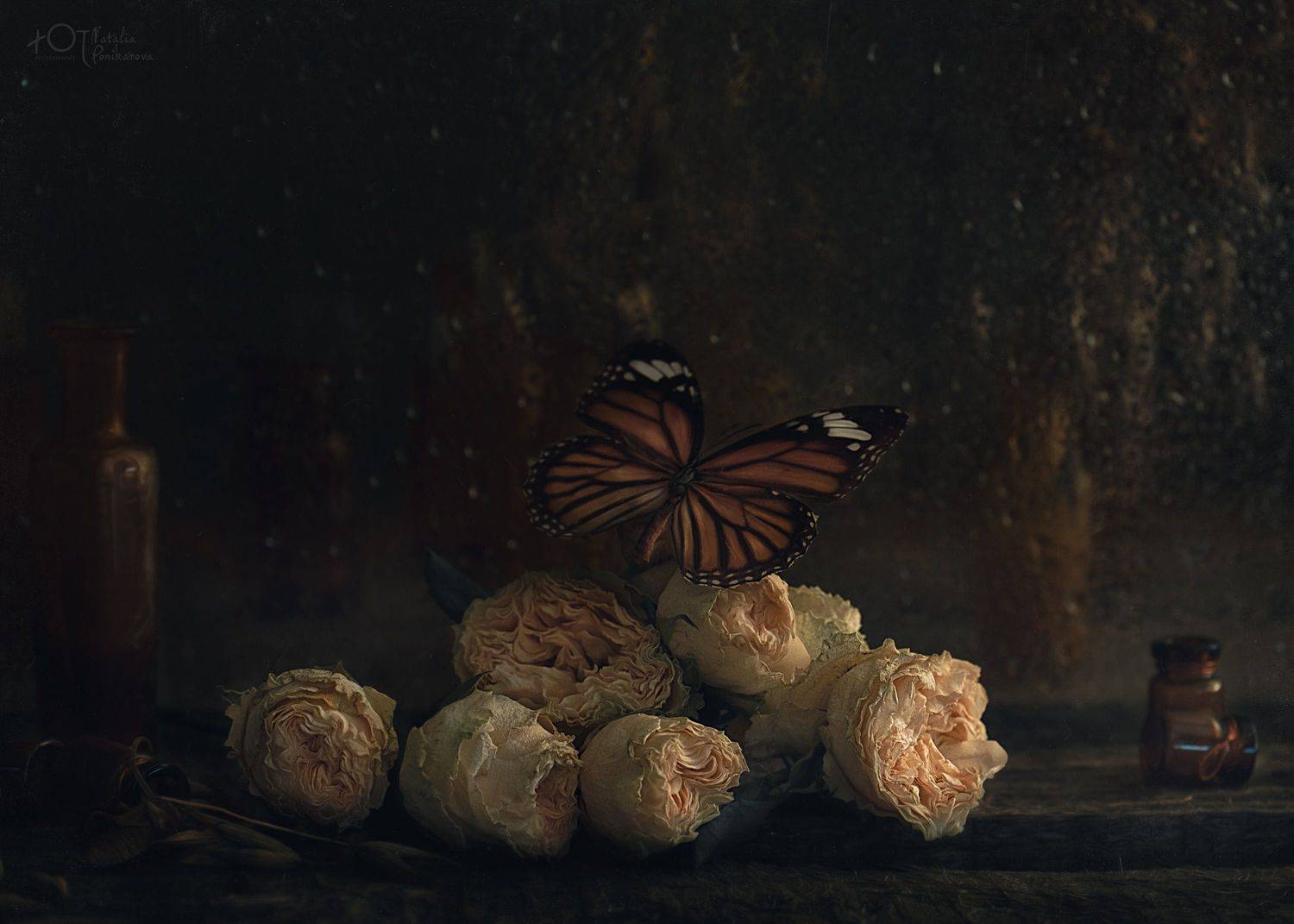 , Наталия Поникарова