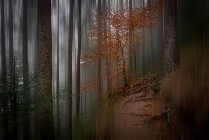 Vitality of the soul... фото превью