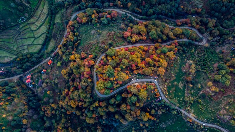 Autumn фото превью