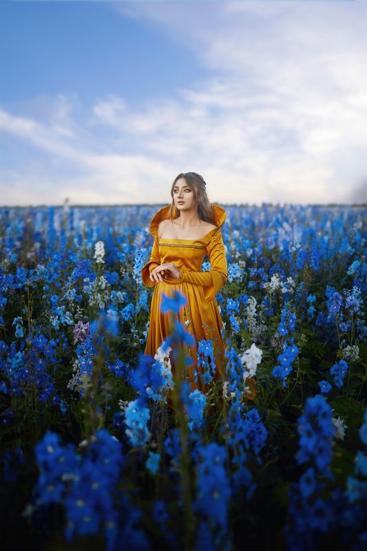 арт фотография, женщина, девушка, цветы, поле, сказка На встрече летнего вечера фото превью