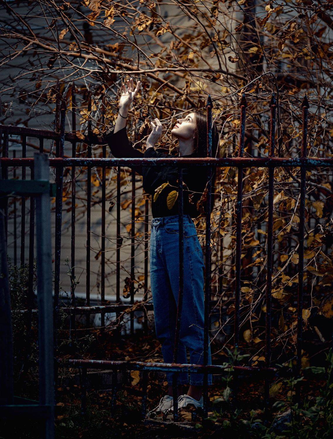 , Иван Сербов