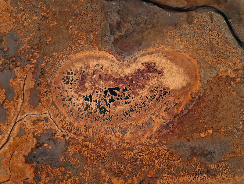 Дрон Болото любви  фото превью