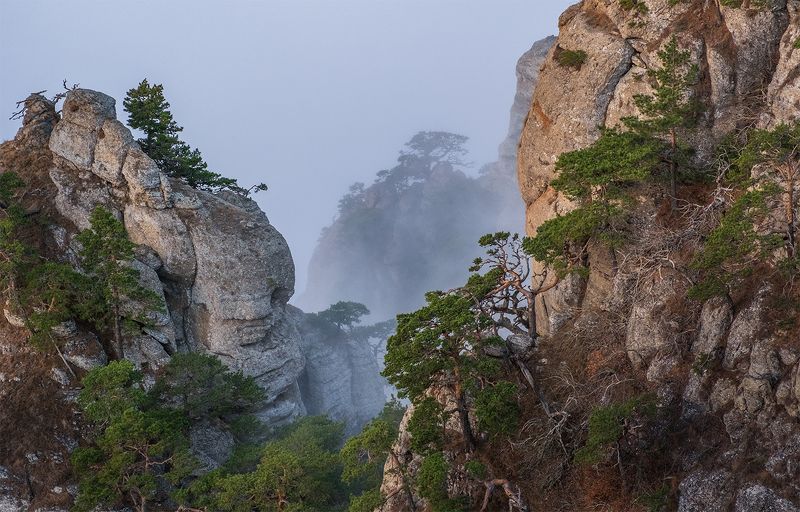 Скалы аватара фото превью