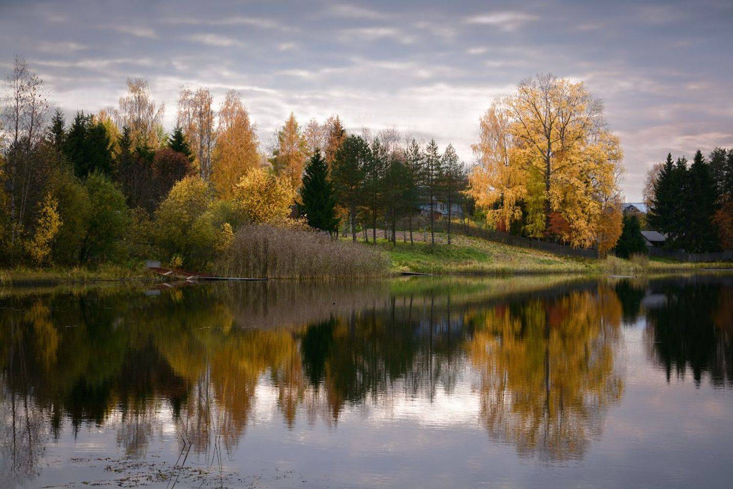 , Марина Никифорова