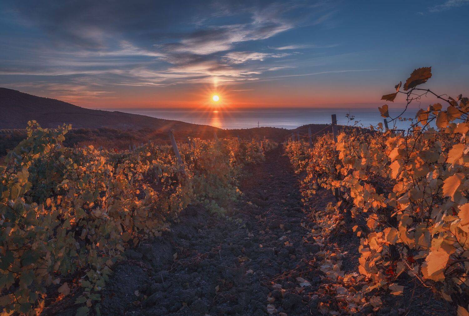 , Константин Дэм