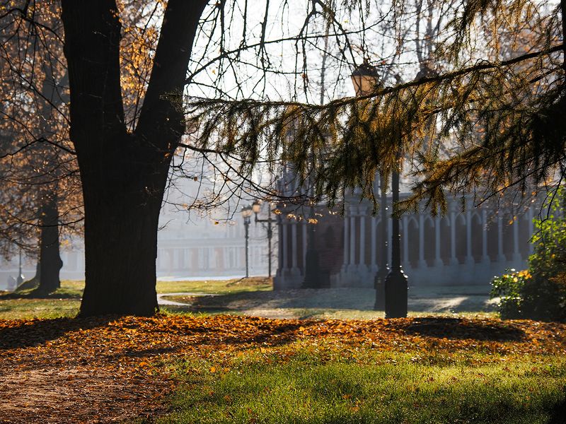 раннее утро фото превью