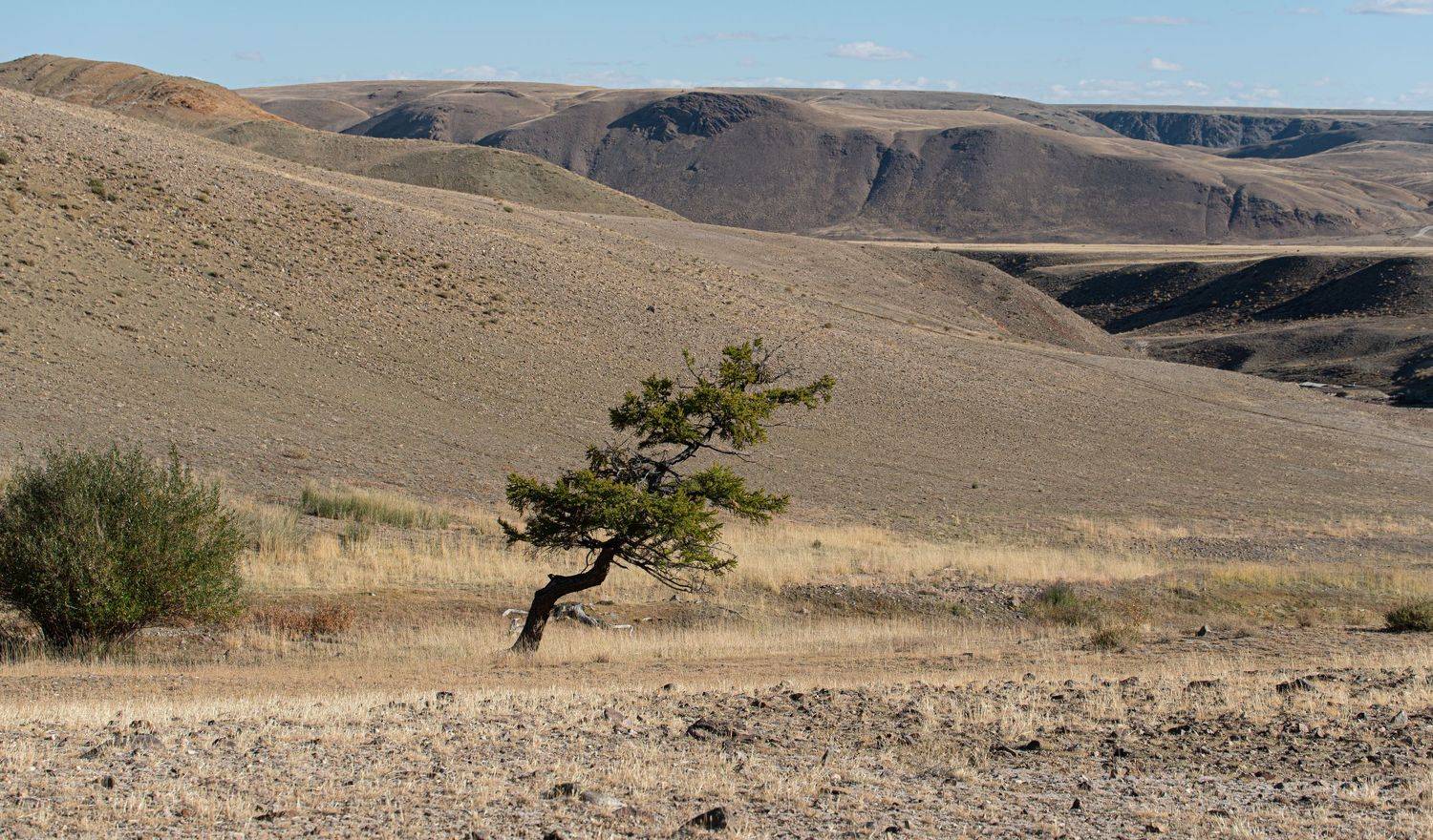 landscape, nature, autumn, Aleksei Kurlov
