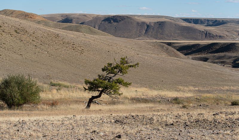 landscape, nature, autumn  фото превью