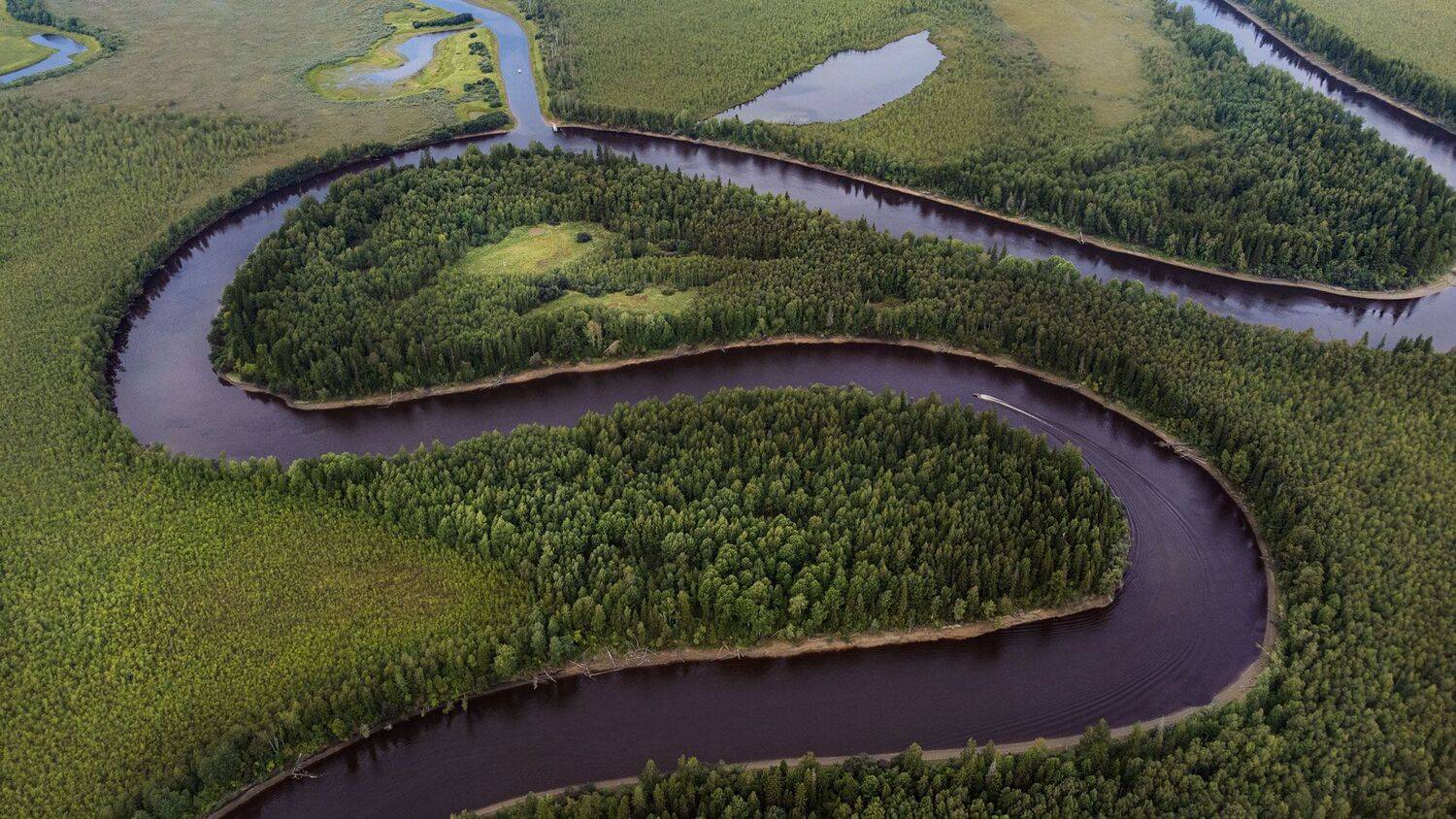 , Роман Грушевский