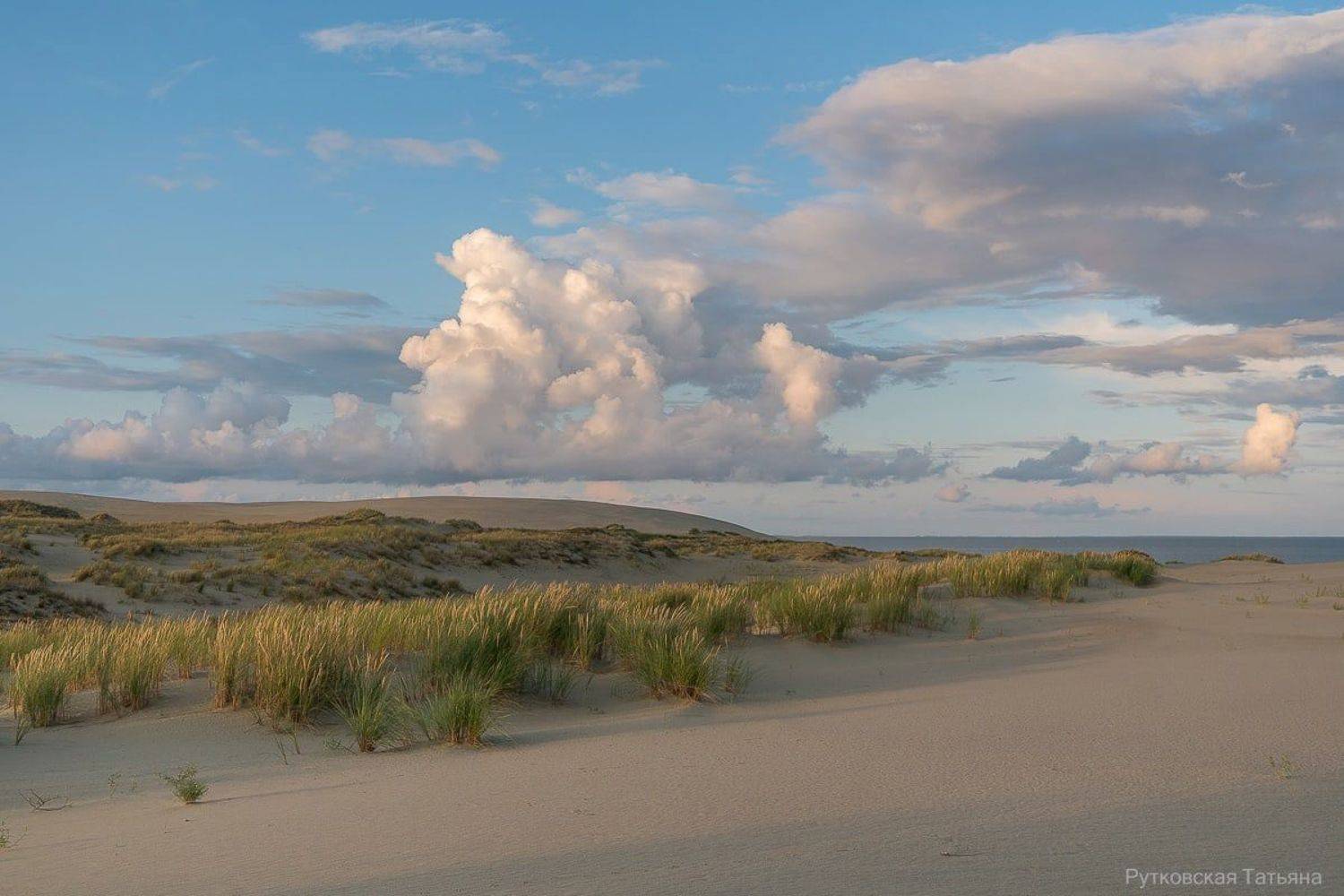 , Татьяна Рутковская