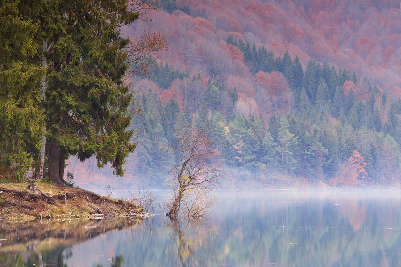 Осеннее одиночество фото превью