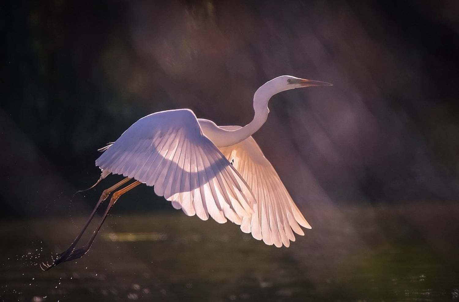 , Вячеслав Мищенко