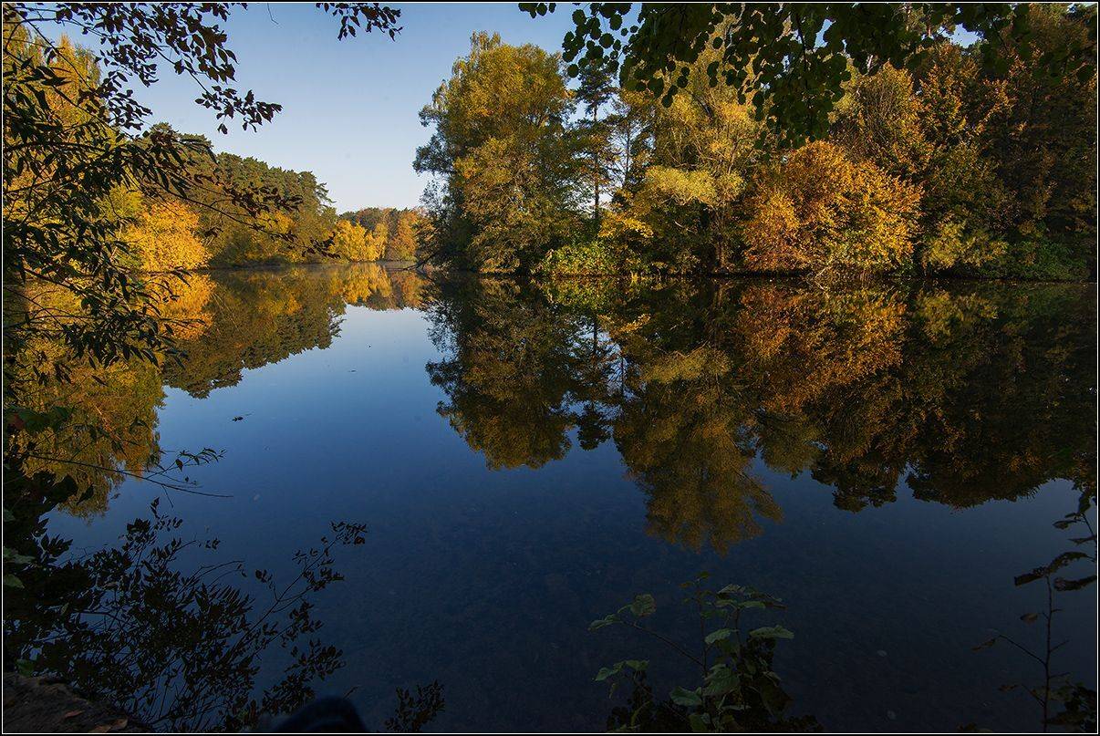 москва, осень, озеро, лес, отражение, АНАТОЛИЙ ДОВЫДЕНКО